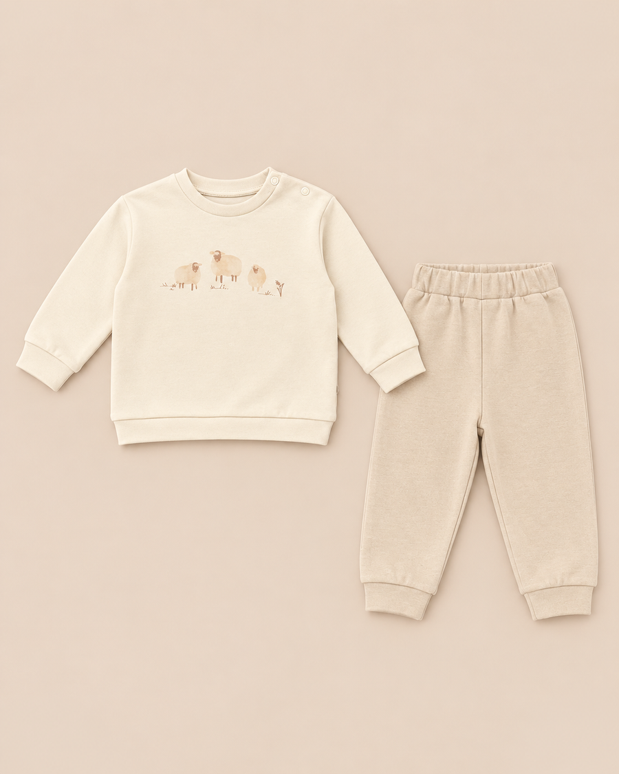 100% Organic Cotton Interlock Baby Set - Long Sleeve Sweater & Pants (2 Piece)