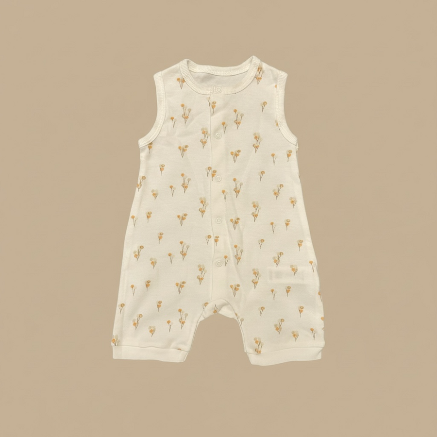 Organic Cotton Sleeveless Romper Set (2 Pack)
