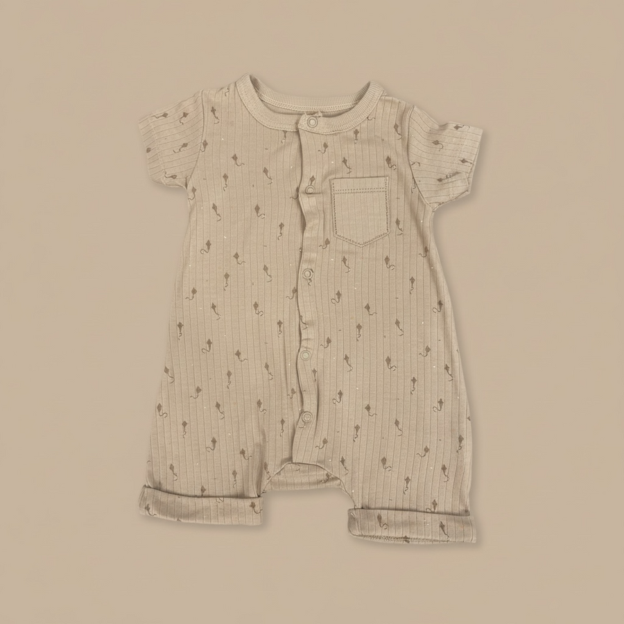 Organic Cotton Interlock Short Sleeve Romper Set - 2 Pack (Neutral & Print)